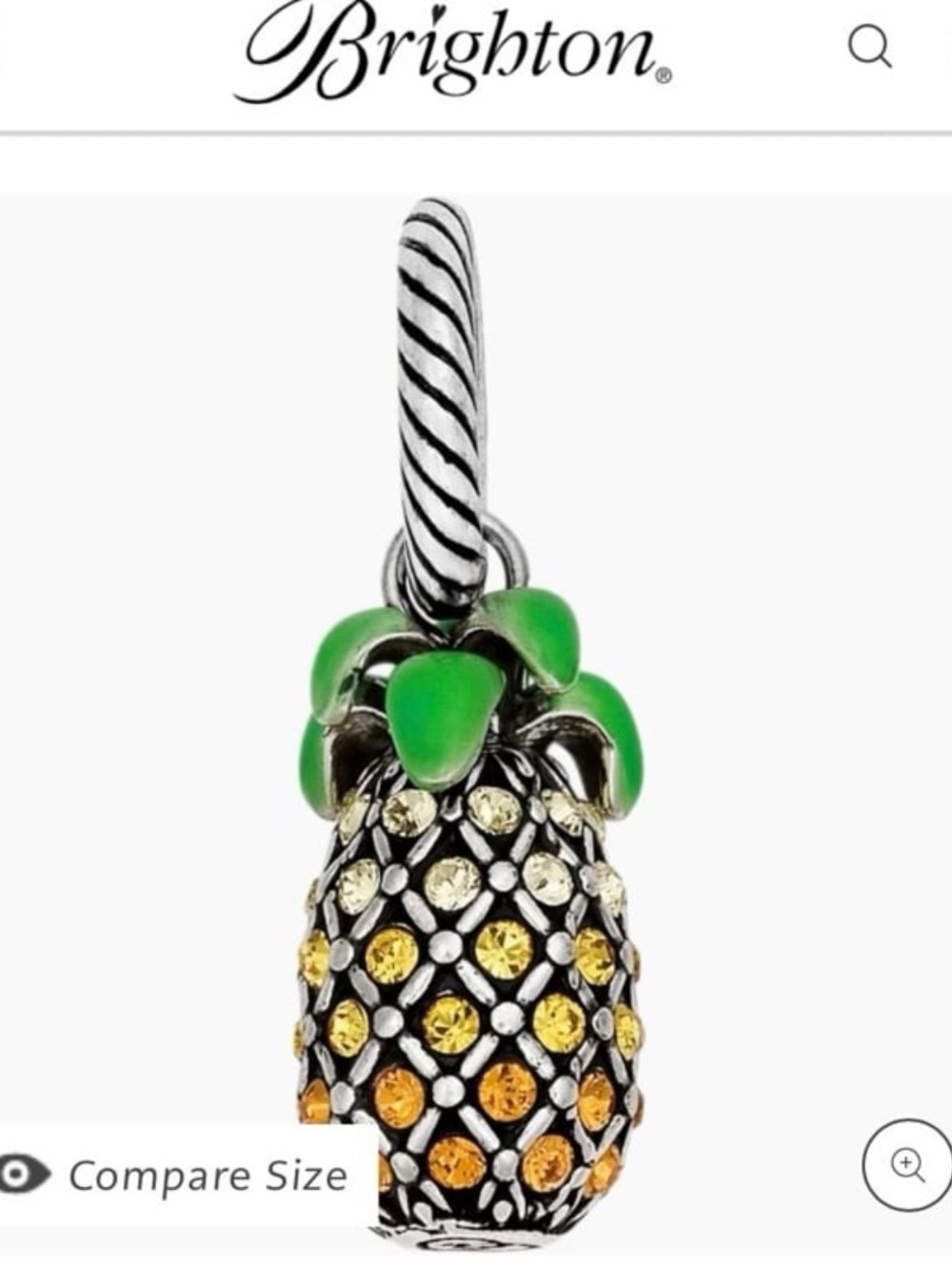 🍍 Brighton Pineapple Travel Charm - only 1 left!